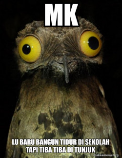Weird Stuff I do Potoo