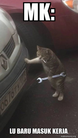 Mechanic Cat