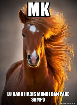 Ridiculously photogenic horse