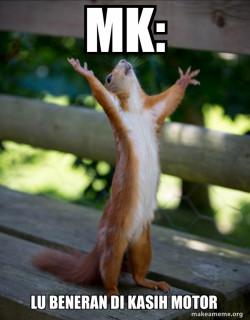 Happy Squirrel