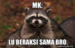 Evil Plotting Raccoon