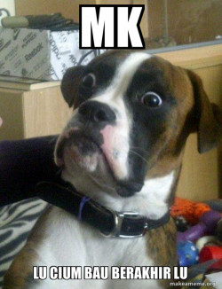 Skeptical Dog
