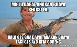 Steve irwin