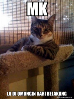 The Most Interesting Cat in the World