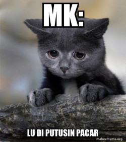 Confession Cat
