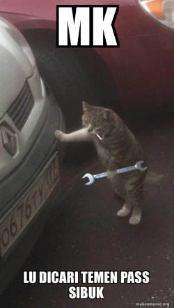 Mechanic Cat