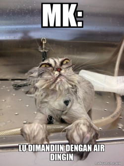 Cat Bath Returns