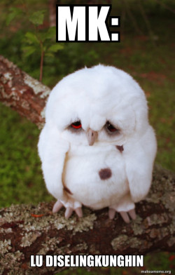 Sad Owl