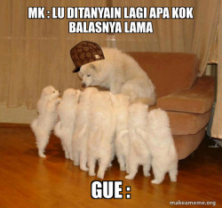 Scumbag Storytelling Dog