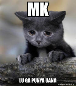 Conexpresibfession Cat