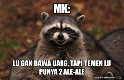 Evil Plotting Raccoon