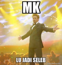 Tony Stark Success