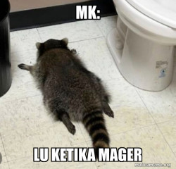 Drunk Raccoon