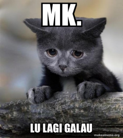 Confession Cat