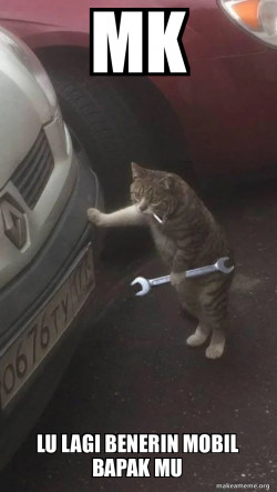 Mechanic Cat