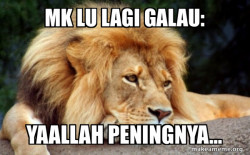 Confession Lion