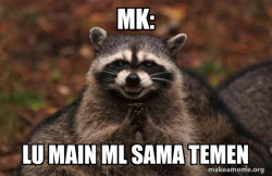 Evil Plotting Raccoon