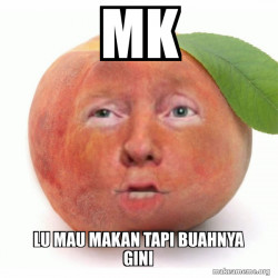 Impeached Donald Trump