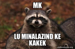 Evil Plotting Raccoon