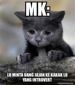 Confession Cat