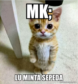 Cute Cat Standing
