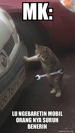 Mechanic Cat