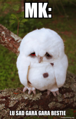 Sad Owl