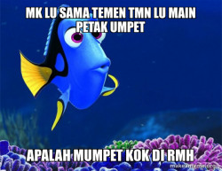 Dory from Nemo  (5 second memory)