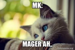 First World Cat Problems