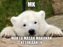 Popular Opinion Bear