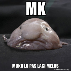 Blobfish