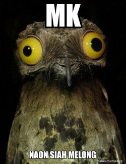 Weird Stuff I do Potoo