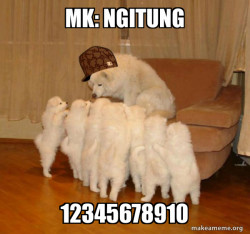 Scumbag Storytelling Dog