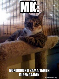 The Most Interesting Cat in the World