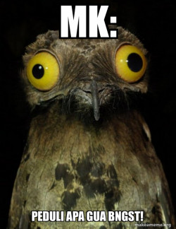 Weird Stuff I do Potoo