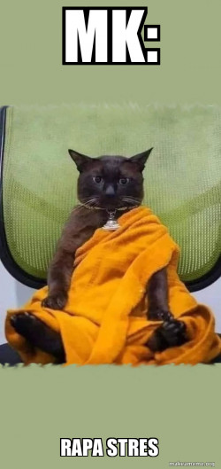 Zen Cat
