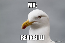 Stuff That Didn't Happen Seagull