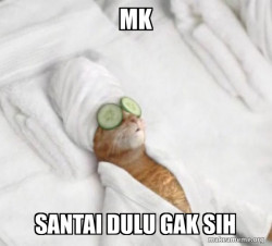 Pampered Cat Meme