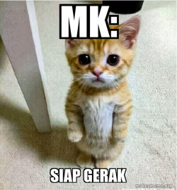 Cute Cat Standing
