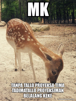 O M G Deer