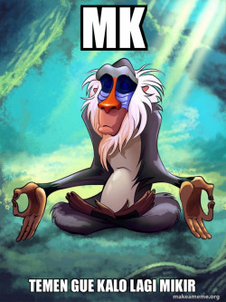 Rafiki Meditating - Lion King