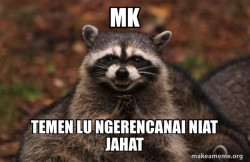 Evil Plotting Raccoon