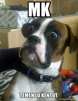 Skeptical Dog