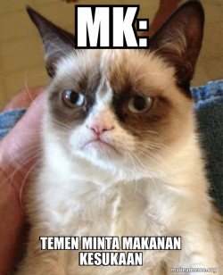Grumpy Cat