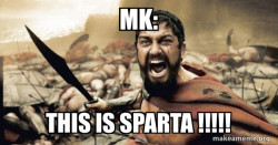 The 300