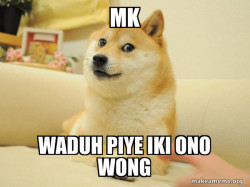 Doge