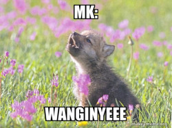 Baby Insanity Wolf