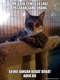 The Most Interesting Cat in the World