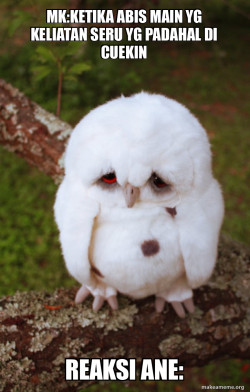 Sad Owl