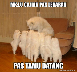 Storytelling Dog